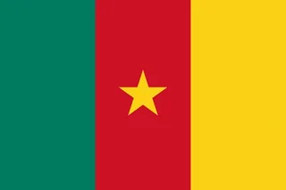 Flag of Cameroon