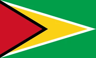 Flag of Guyana