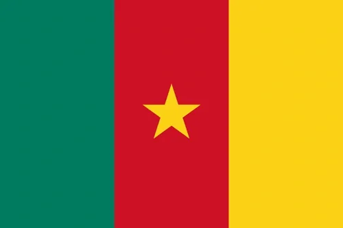 Flag of Cameroon