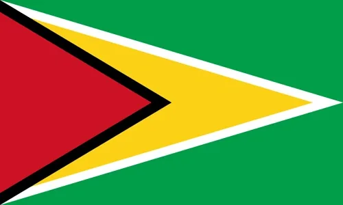 Flag of Guyana