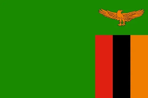 Steag: Zambia